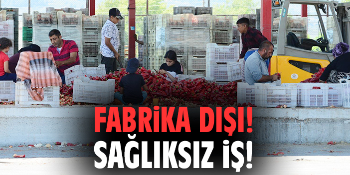 EURO GIDA’nın Sağlıksız Üretim Skandalı!