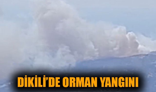 Orman Yangını Dikili’de Kontrol Altına Alınıyor