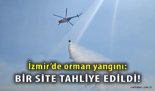 Çandarlı Mahallesi’nde Orman Yangını!
