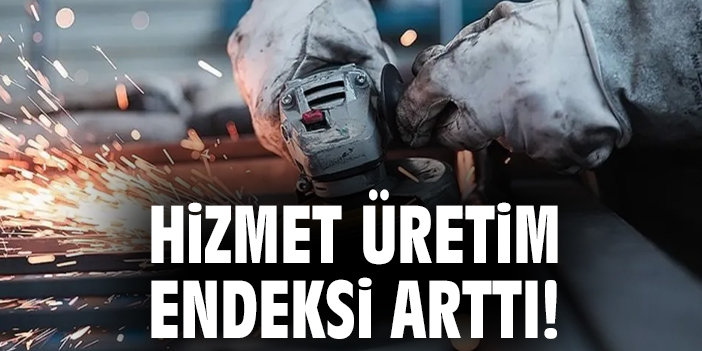 TÜİK: Haziran’da Hizmet Üretim Endeksi Yükseldi