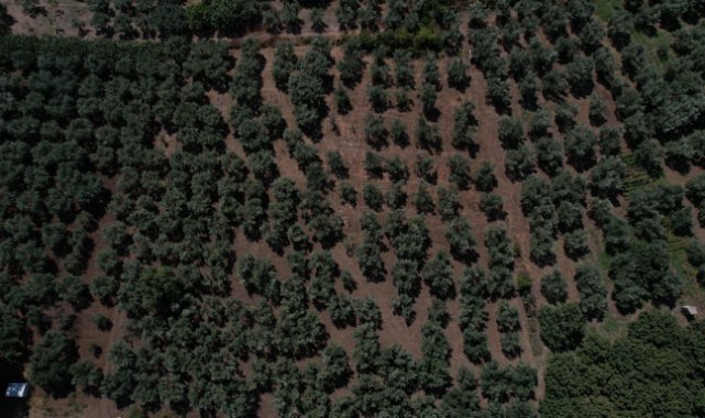 Hırsızlar su pompalarını çaldı, çiftçiler çamura boğuldu!