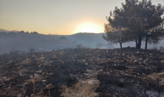 Antakya’da Orman Yangını Kontrol Altına Alındı