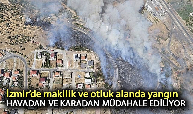 Menemen’de Makilik ve Otluk Alanda Çıkan Yangına Havadan ve Karadan Müdahale