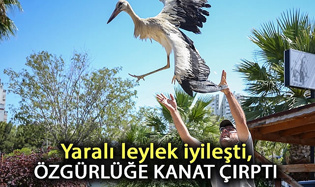 Karşıyaka Belediyesi Yaban Hayvanlarına Şifa Dağıtıyor