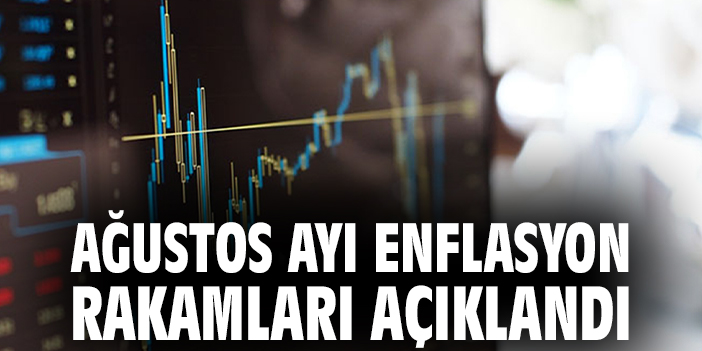 Ağustos ayı enflasyon rakamları açıklandı