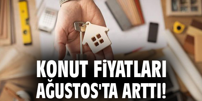 Konut Fiyatları Aylık %3,6, Yıllık %34,3 Arttı!