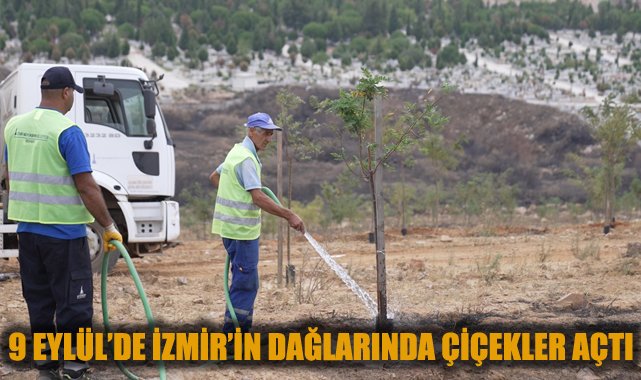 Yamanlar’da Yangınla Başlayan Yeşil Diriliş