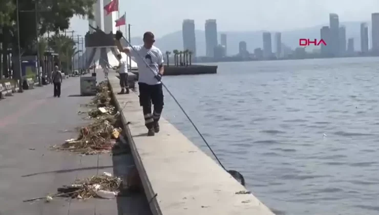 İzmir Körfezi’nde Balık Ölümleri ve Kirlilik Krizi