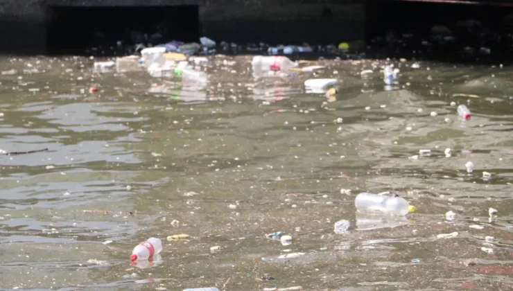 İzmir Körfezi’nde Kirlilik, Temizlik Seferberliği!