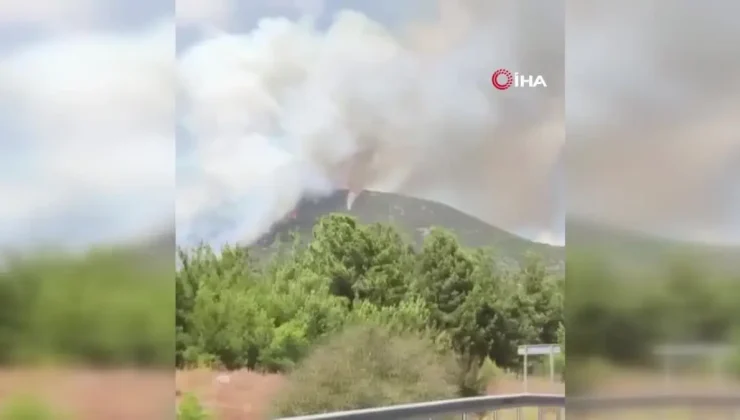Menderes’te orman yangını – Son Dakika