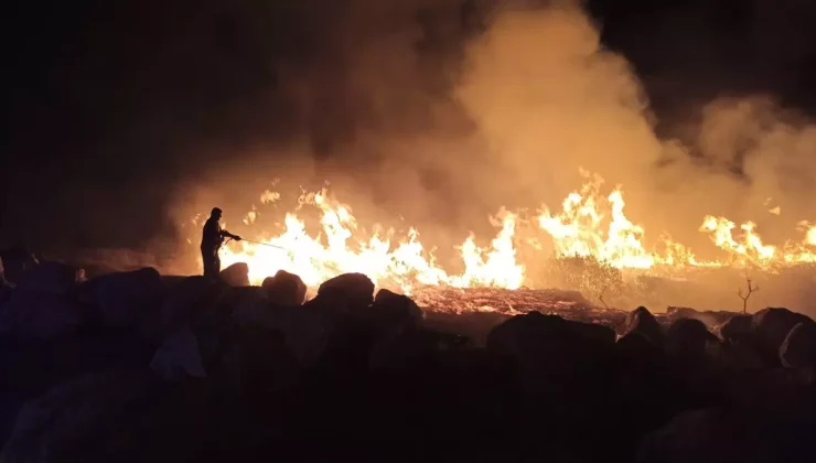 Seferihisar’da Orman Yangınları Kontrol Altına Alındı