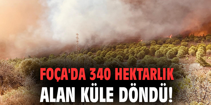 Foça’da Orman Yangını: 340 Hektar Alan Zarar Gördü