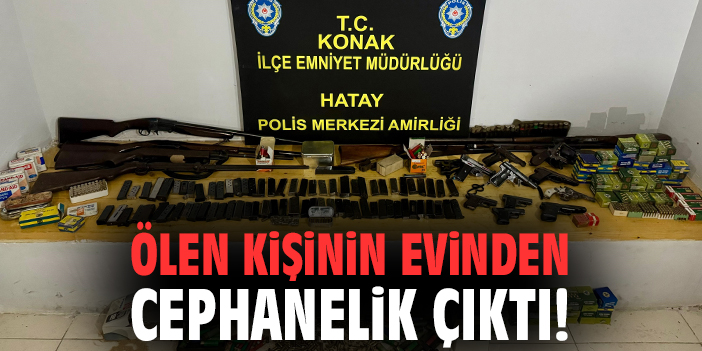 91 Yaşındaki Adamın Evinde Silah Stoku Bulundu