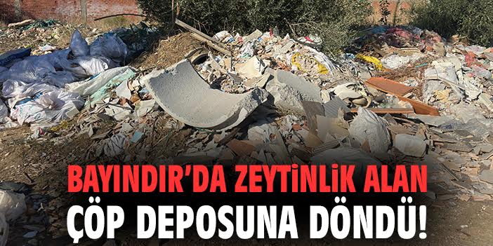Zeytinlik Alanda Çöp Skandalı: İsyan Var!