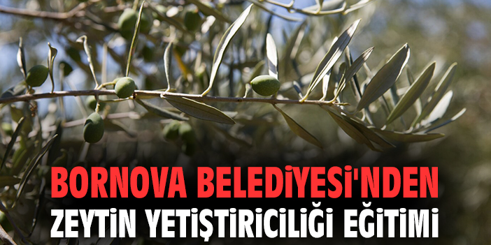 Bornova’da Zeytin Yetiştiriciliği Eğitimi Başlıyor