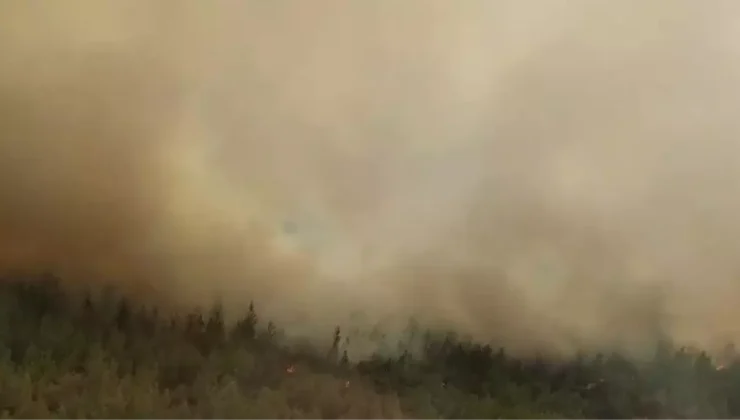 Foça’da Çöplük Yangını Ormana Sıçradı