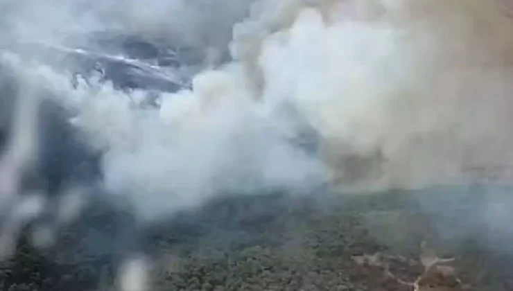 Foça’da Çöplük Yangını Ormanı Tehdit Ediyor!