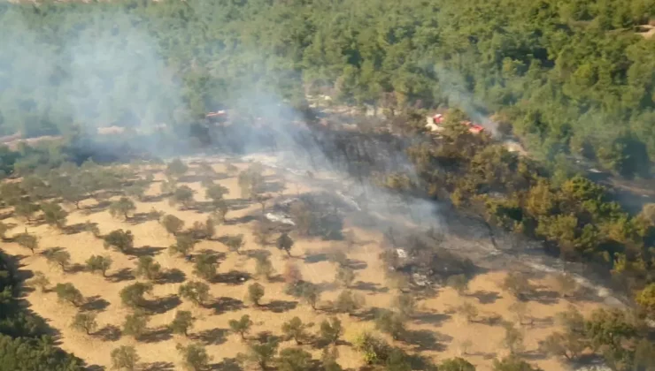 İzmir’de Tarım Arazisinde Yangın Ormana Sıçradı!