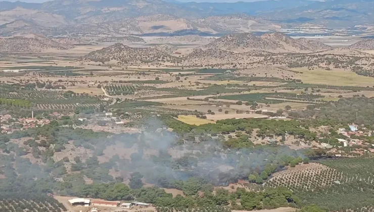 Dikili’deki Yangın Hızla Kontrol Altına Alındı