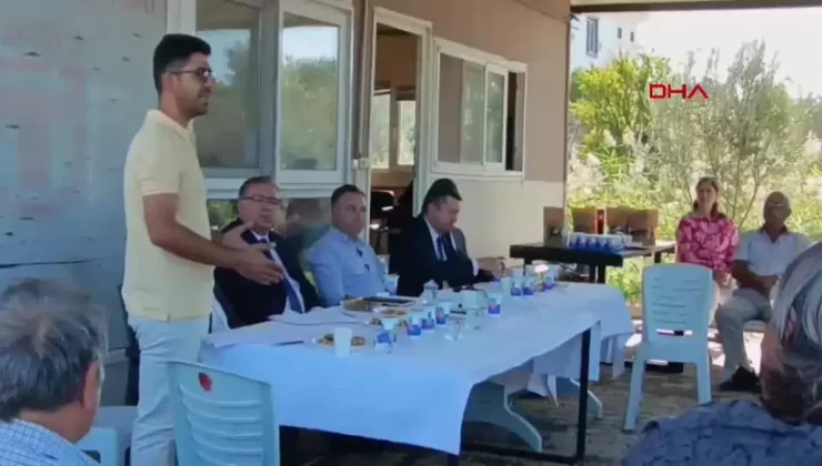 Foça’da Zeytin Hasat Sezonu Coşkuyla Başladı!