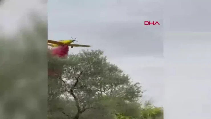 İzmir’deki Zeytinlikte Yangın Kontrol Altına Alındı!