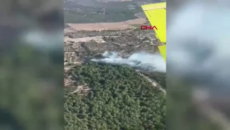 İzmir’de Tarım Yangını Ormana Sıçradı! Mücadele Devam Ediyor
