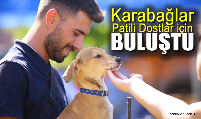 26 Hayvan Sahiplendi, Sıcak Yuva Buldu!