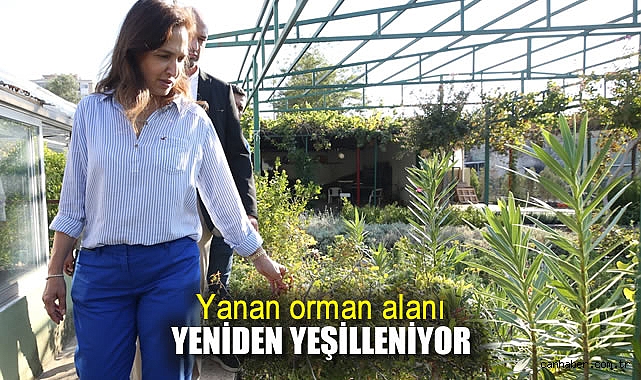 Karşıyaka’da Fidan Dikim Şenliği Umut Yeşerecek