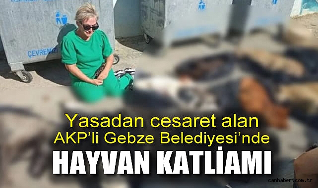Gebze’de Hayvan Katliamı: 43 Can Aldılar!