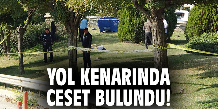 Pendik’te Yol Kenarında Erkek Cesedi Bulundu!
