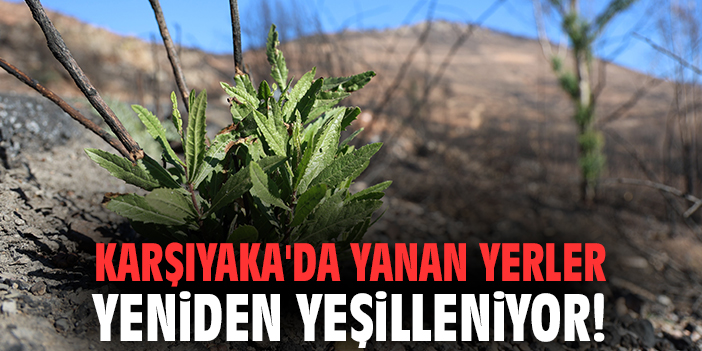 İzmir’de Orman Yangınına Karşı Rehabilitasyon Başladı