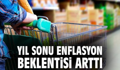 Enflasyon Beklentileri Artış Göstermeye Devam Ediyor