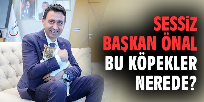Bayraklı’da Yavru Köpek Katliamı Tepki Çekti!