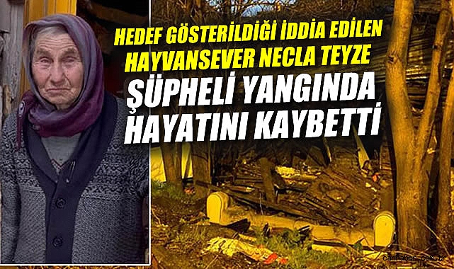 Hayvanseverlerden Kundaklama İddiası ve Tepkiler!