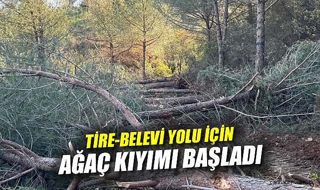 İzmir’de Yol İnşaatı Ağaç Katliamına Yolaçtı!