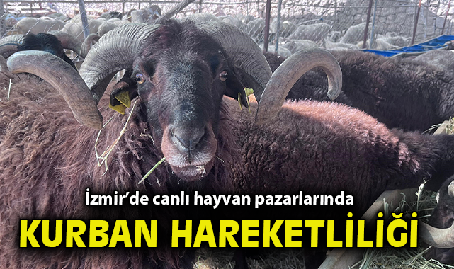 İzmir’de Kurban Pazarı Hareketlendi: Fiyatlar Neler?