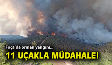 Foça’da Orman Yangınına Hızlı Müdahale!
