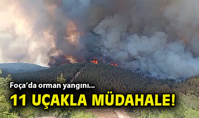 Foça’da Orman Yangınına Hızlı Müdahale!