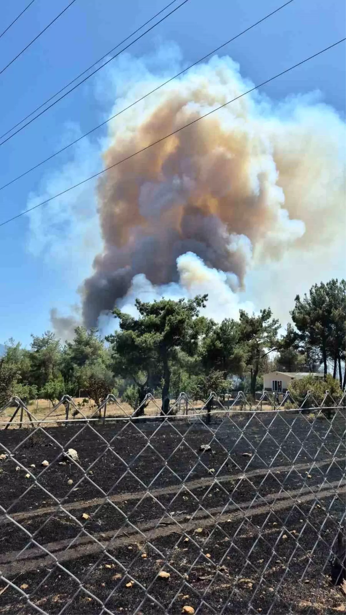 Bornova’da Yangın: Havadan ve Karadan Mücadele!