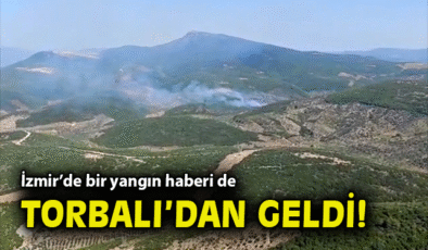 Torbalı’da Orman Yangınına Hızla Müdahale Ediliyor!