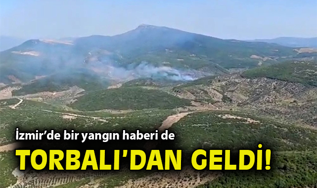 Torbalı’da Orman Yangınına Hızla Müdahale Ediliyor!