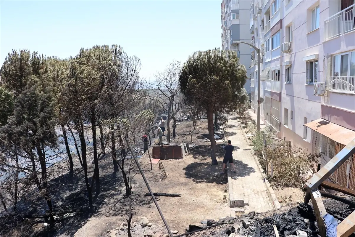 İzmir’de Otluk Alanda Yangın: Kontrol Altına Alındı!