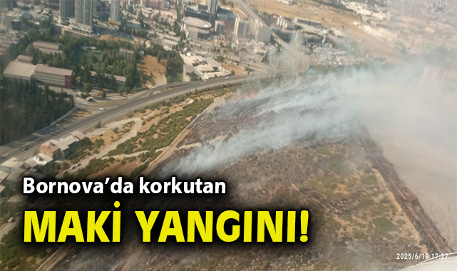 İzmir’de Makilik Alanda Yangın Çıktı!