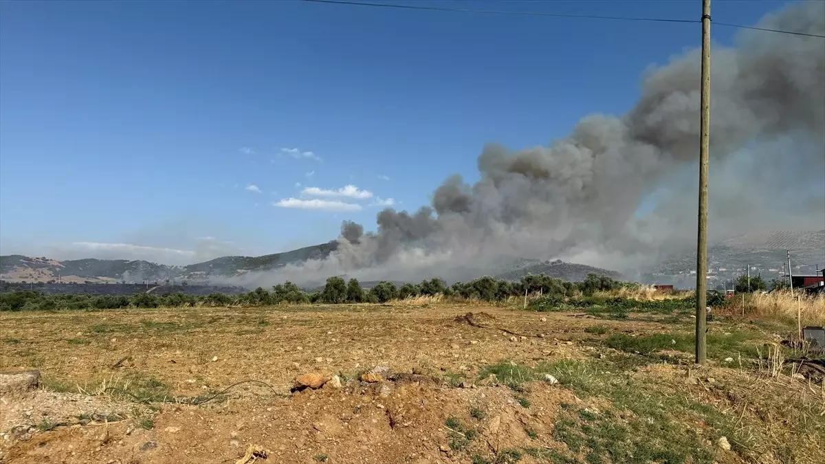 İzmir’de Korkutan Yangın: Yerleşim Alanlarına Sıçradı!