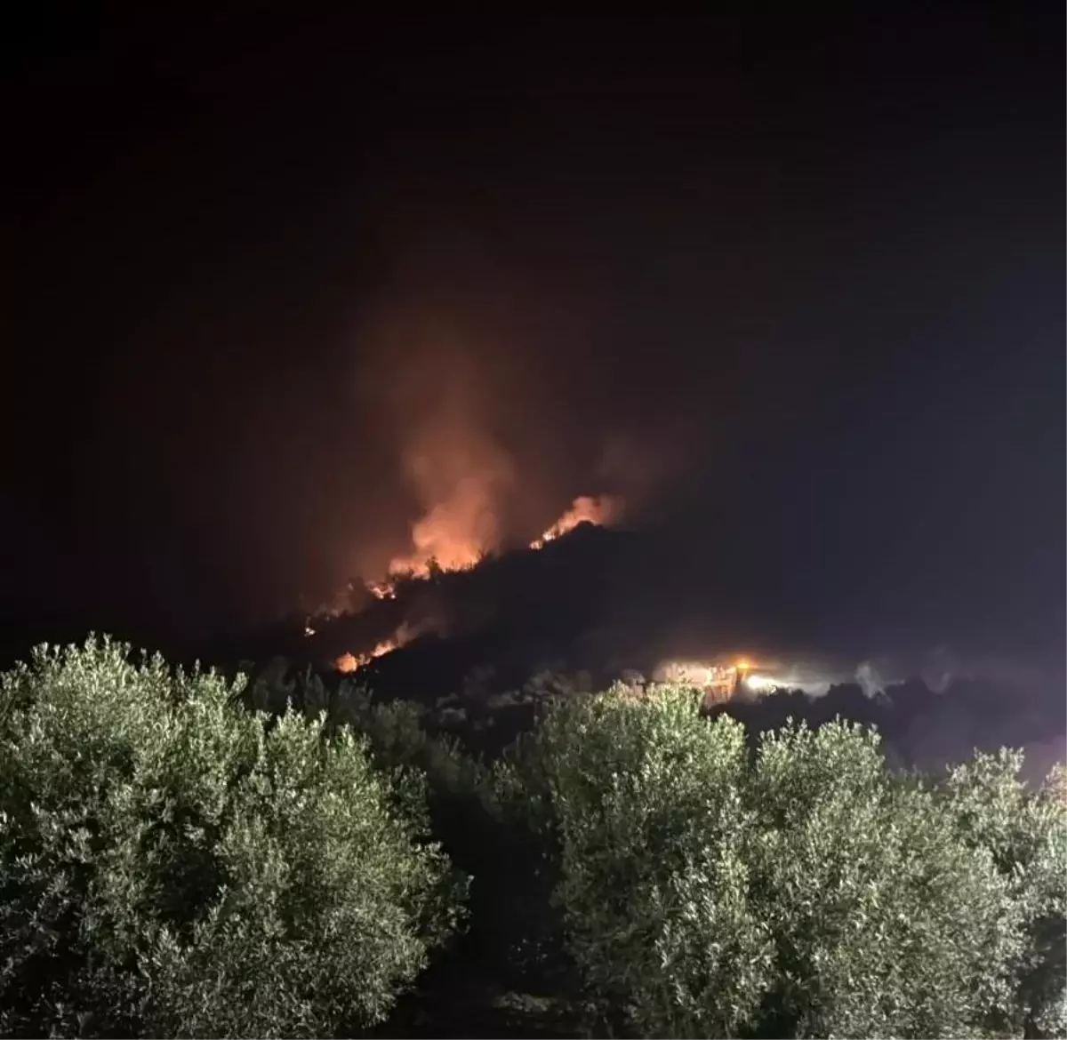 İzmir’de Yangın Tehlikesi: Mahalleler Tahliye Ediliyor!
