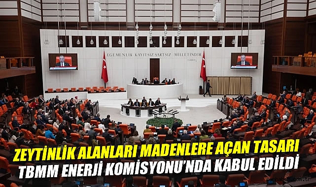 Zeytinlikler Enerjiye Açıldı, Tartışmalar Sürüyor!