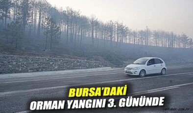 Bursa’daki Yangın 3. Günde Kontrol Altında mı?