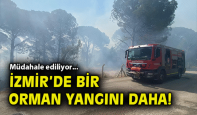 İzmir’de Anız Yangını, Ormanı Tehdit Ediyor!