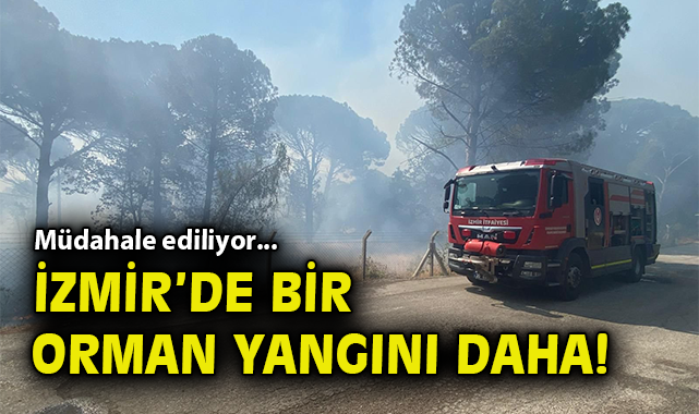 İzmir’de Anız Yangını, Ormanı Tehdit Ediyor!