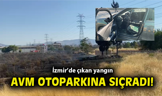Bornova’da Yangın: 2 Araç Alevlere Teslim!